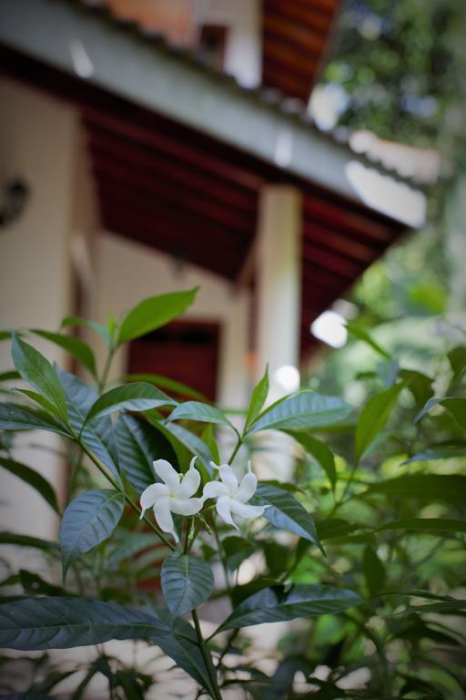 Binara Home Stay Polonnaruwa Dış mekan fotoğraf