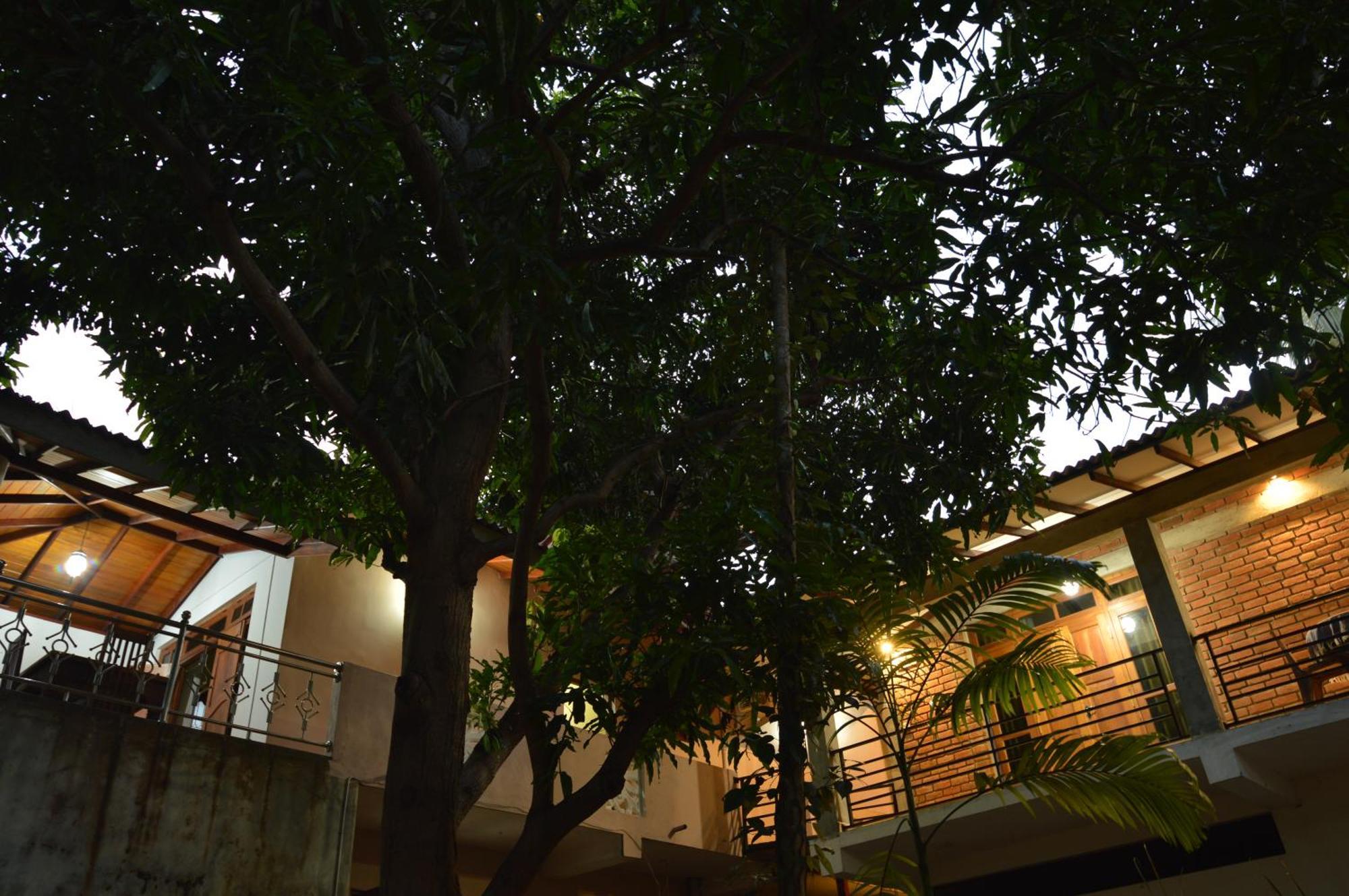 Binara Home Stay Polonnaruwa Dış mekan fotoğraf