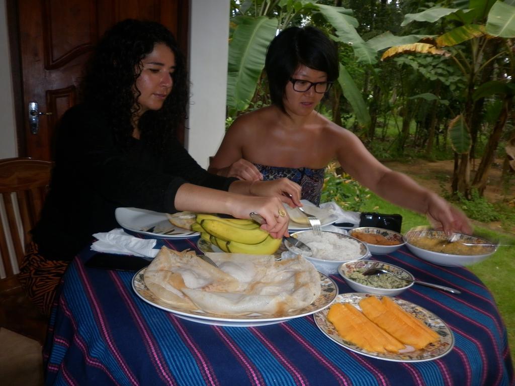 Binara Home Stay Polonnaruwa Dış mekan fotoğraf