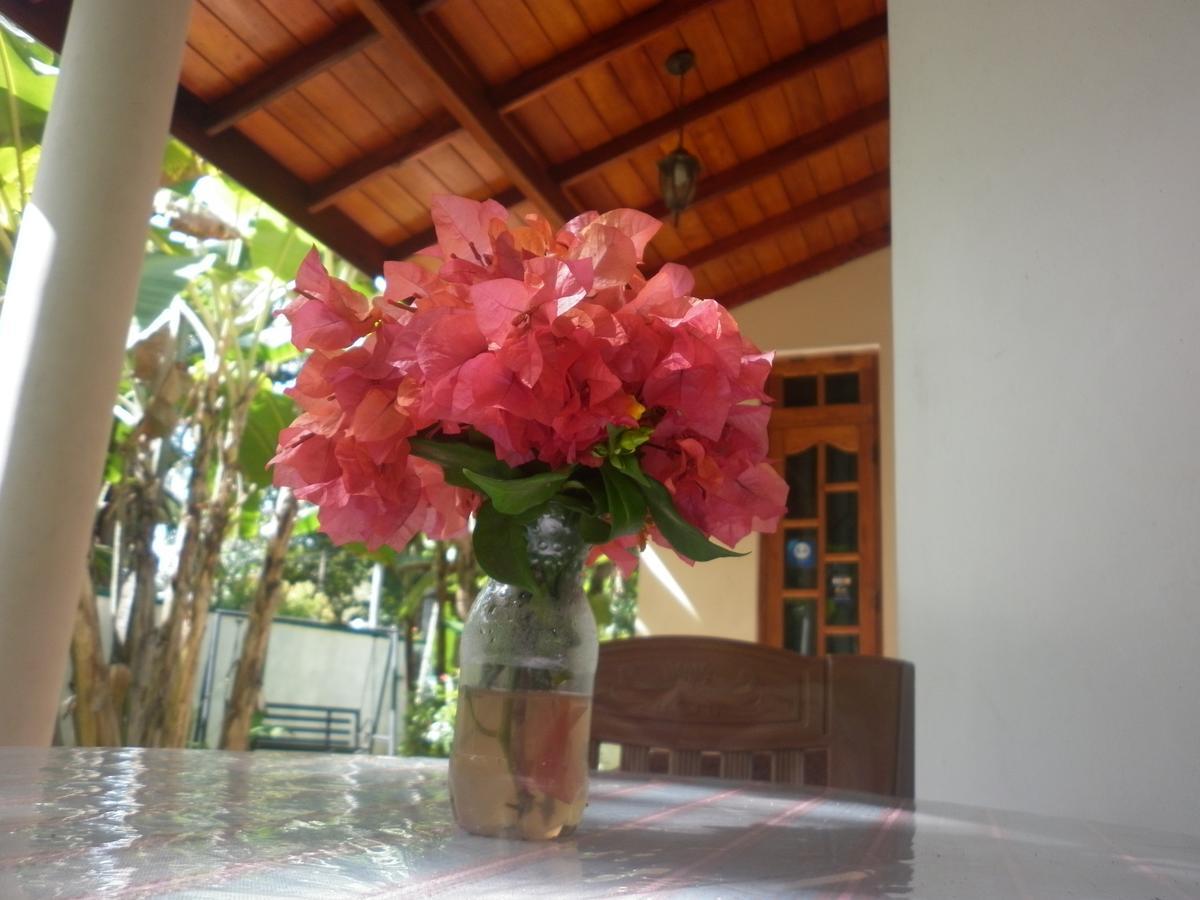Binara Home Stay Polonnaruwa Dış mekan fotoğraf